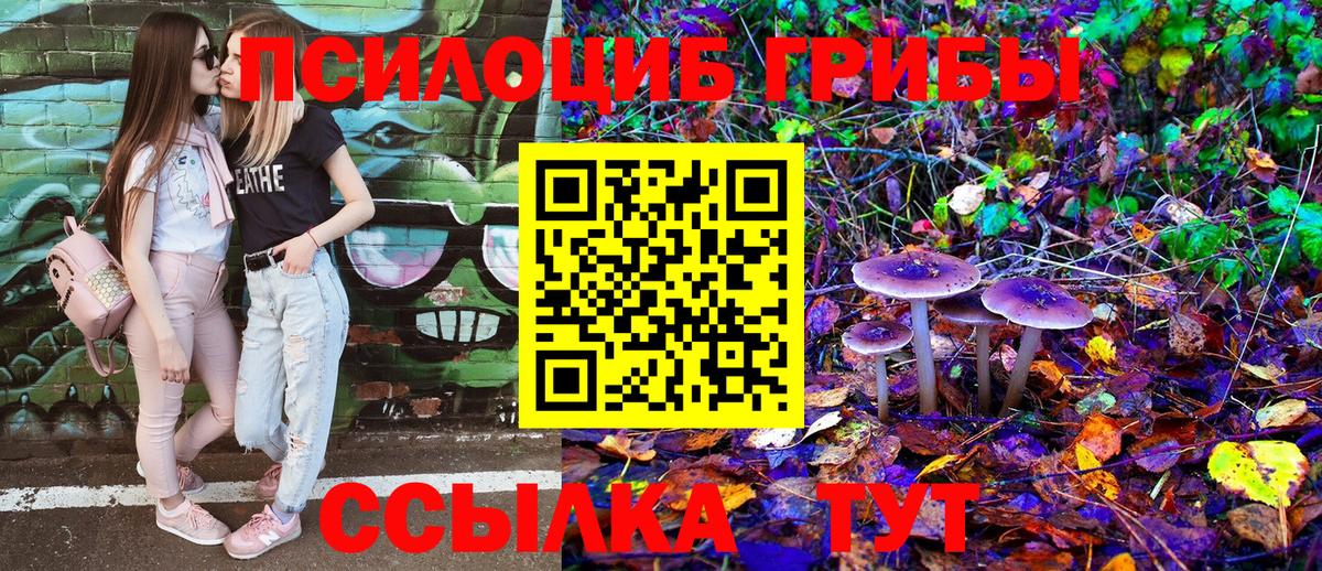 Новоалександровск  Галлюциногенные грибы Cubensis  Вход с VPN 